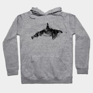 Killer Whale Hoodie